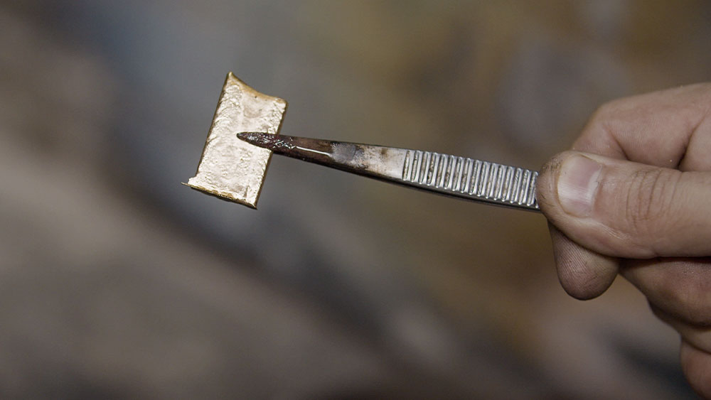 Matéria-prima de procedência base para qualidade e credibilidade